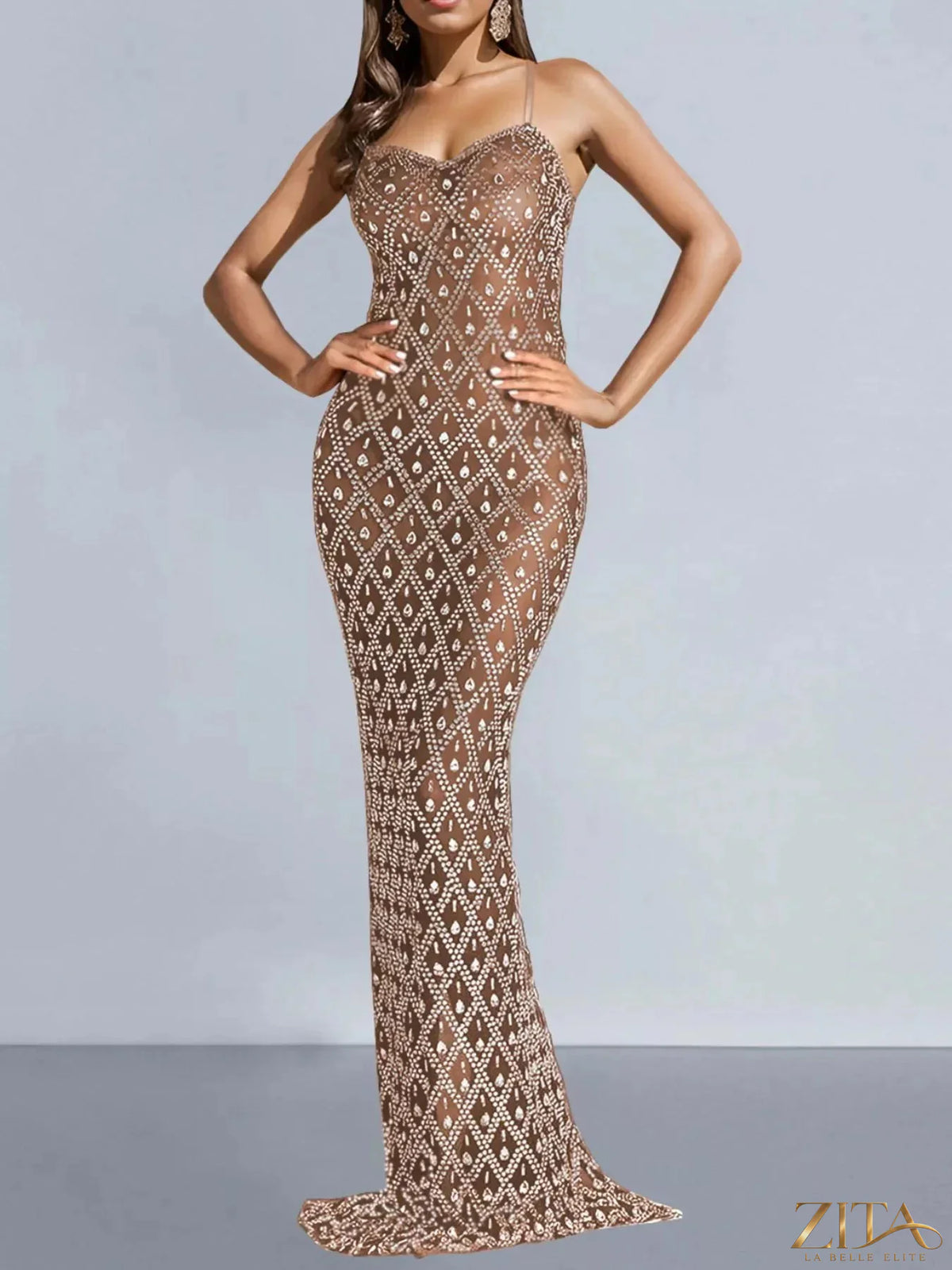 Zita La Belle Elite glamorous rhinestone embellished sheer mesh maxi dress with intricate detailing and flowing design.