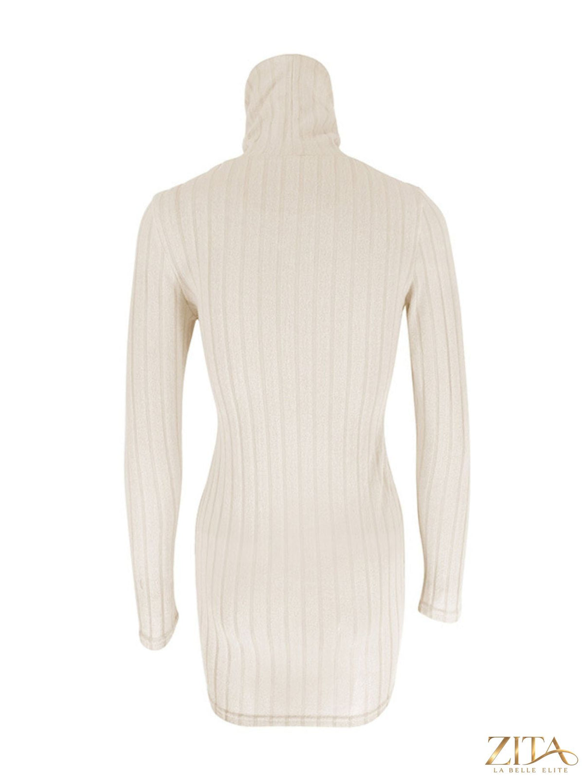 Ribbed black turtleneck bodycon mini dress by Trendsi, fitted design with long sleeves and high neckline on a model.