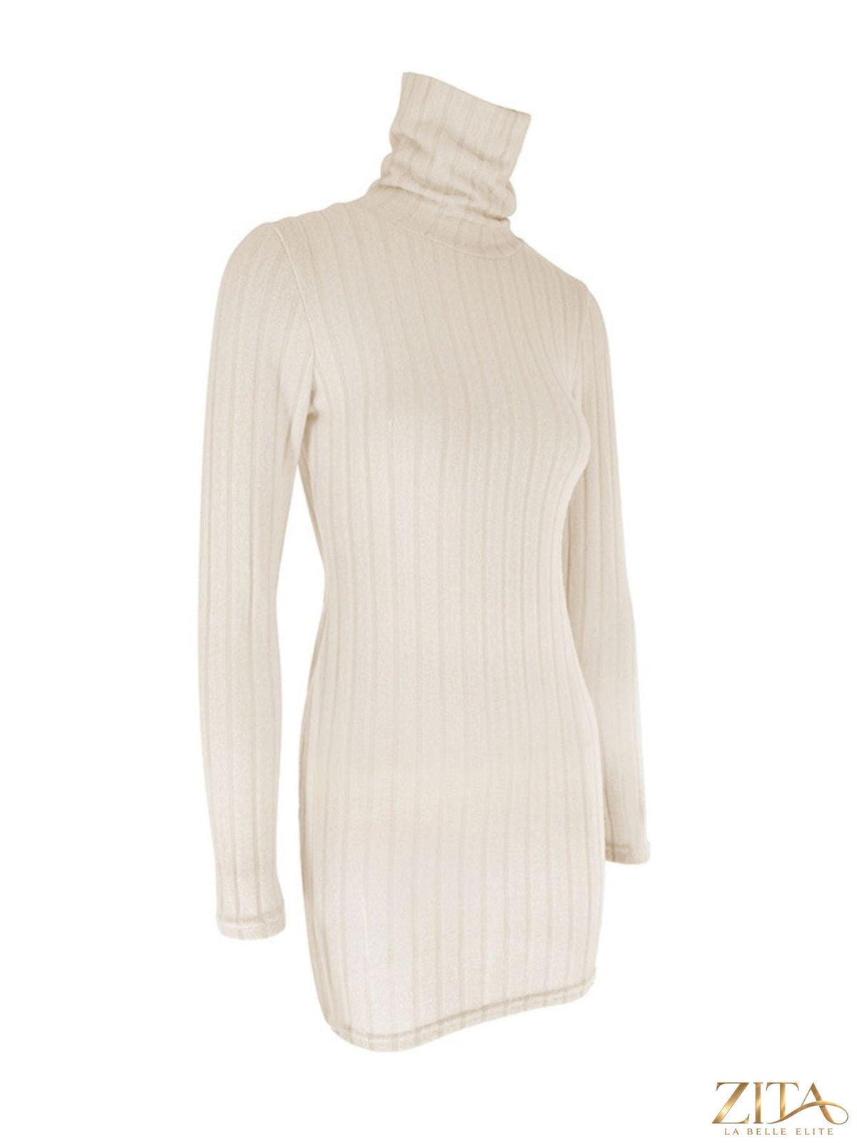 Ribbed black turtleneck bodycon mini dress by Trendsi, fitted design with long sleeves and a high neckline, shown on a model.