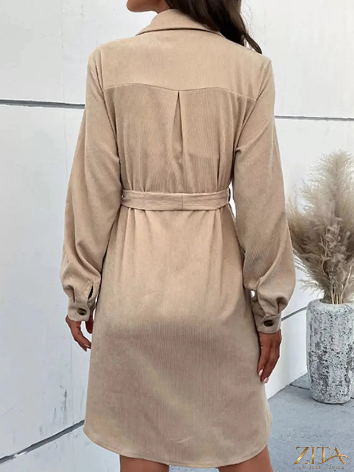 Button-front tie waist shirt dress by Trendsi featuring a classic collar, long sleeves, and a flattering waist tie on a lightweight fabric.