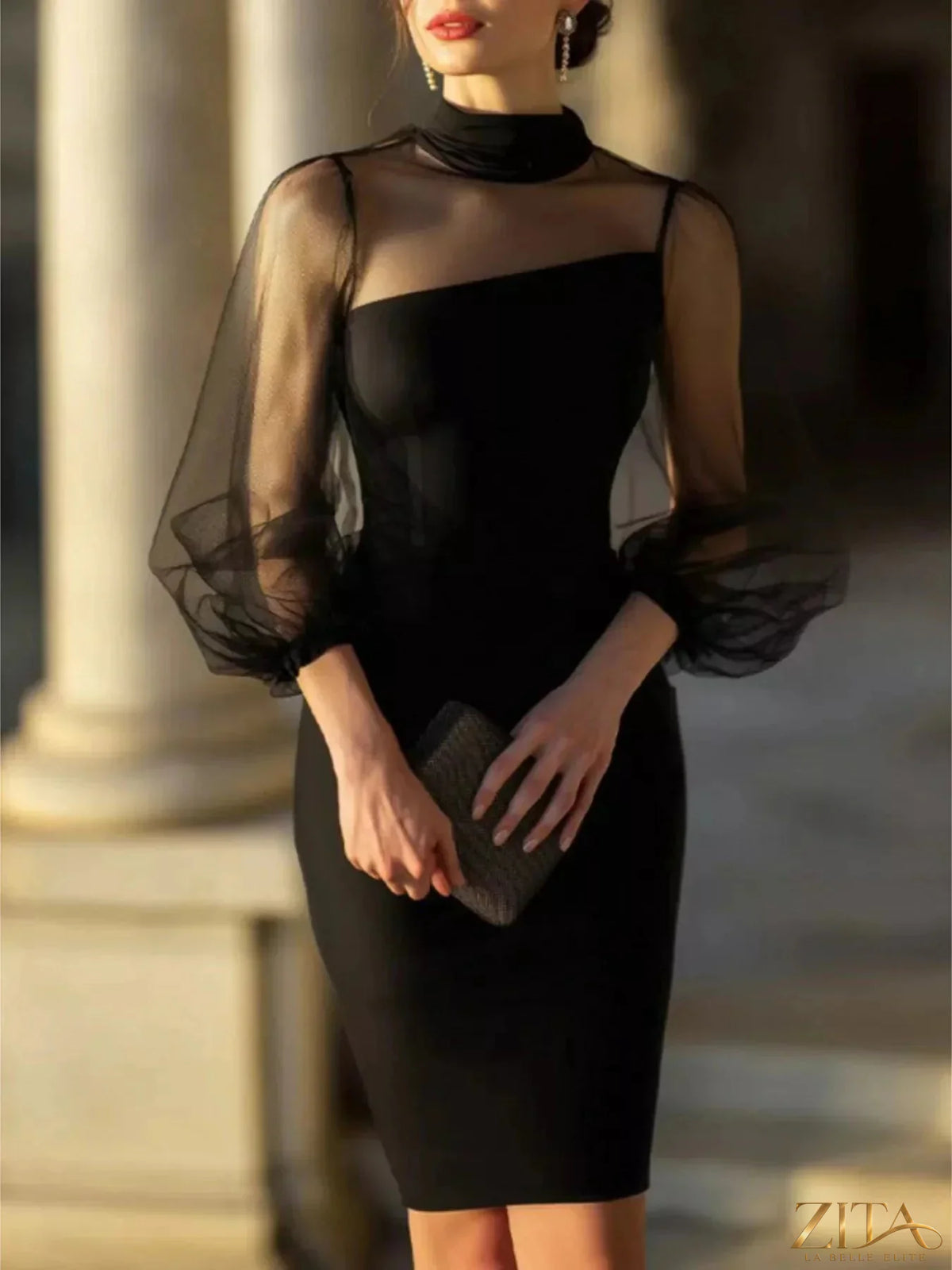 Zita La Belle Elite mock neck sheer puff sleeve bodycon dress showcasing a fitted silhouette and elegant see-through fabric.