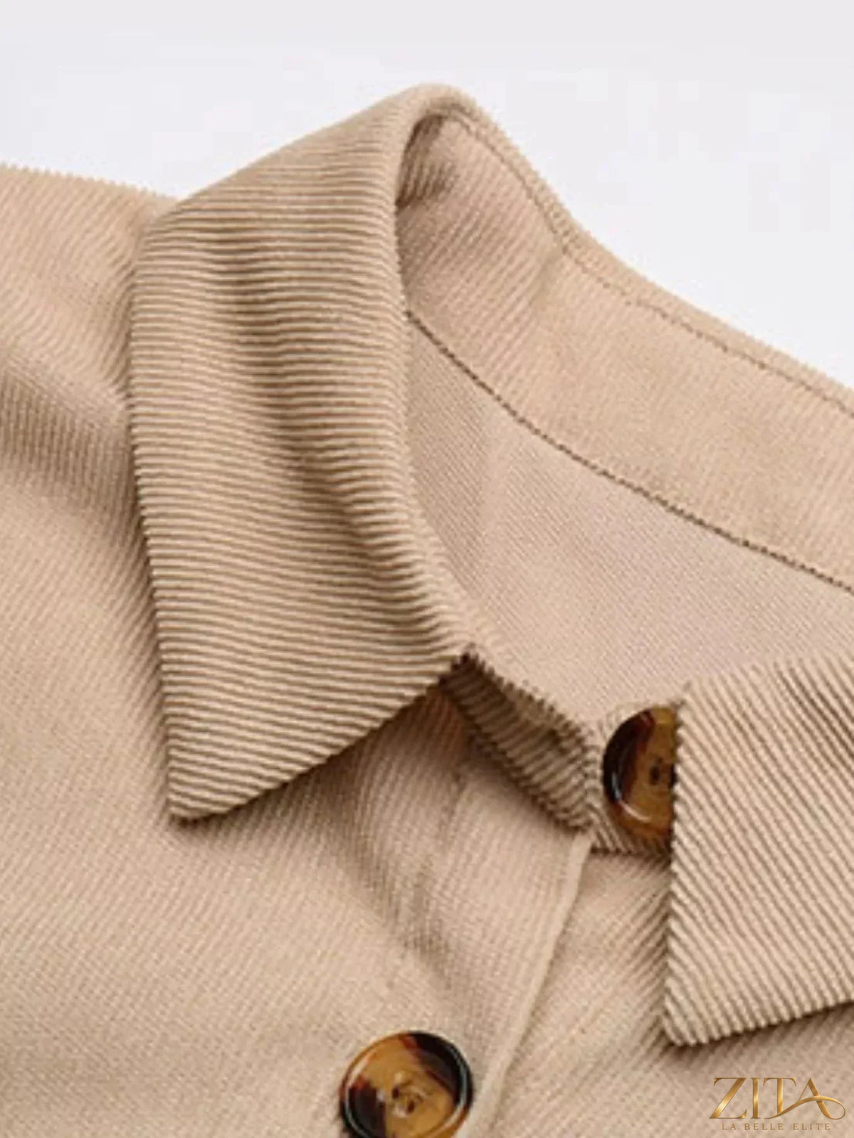 Button-front tie waist shirt dress by Trendsi, featuring a classic collar, long sleeves, and a flattering waist tie.