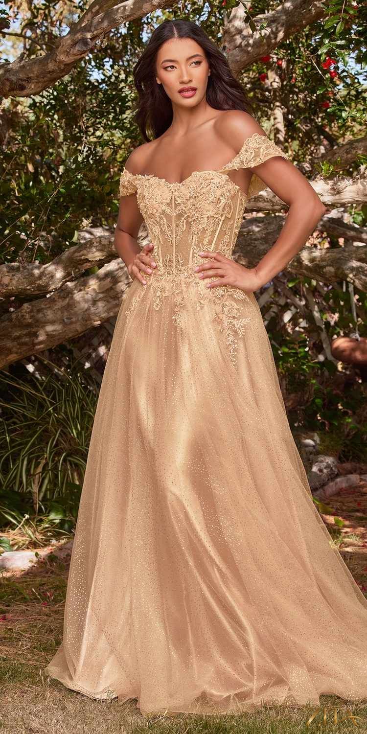 Champagne off-shoulder lace A-line gown by Zita La Belle Elite, Cinderella Divine CD0198 dress with elegant design.