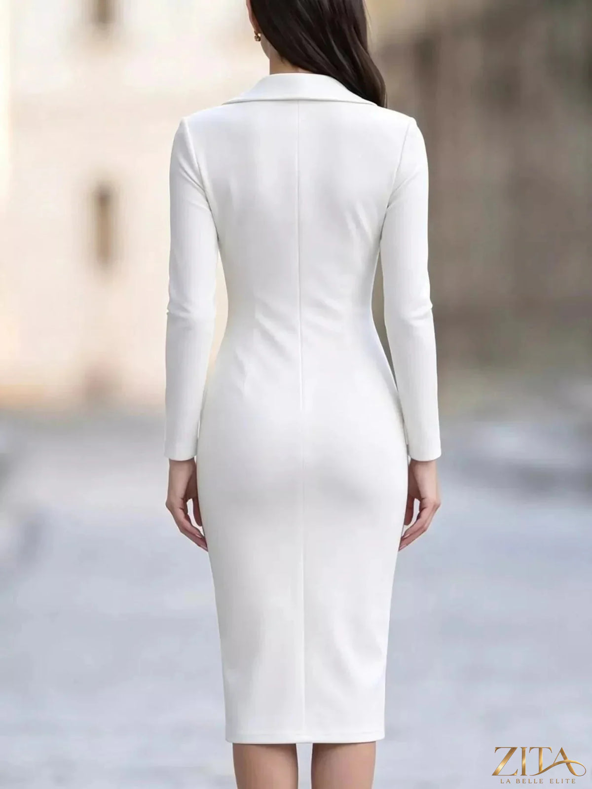 Elegant Zita La Belle Elite asymmetric zipper lapel bodycon midi dress hanging on a white background