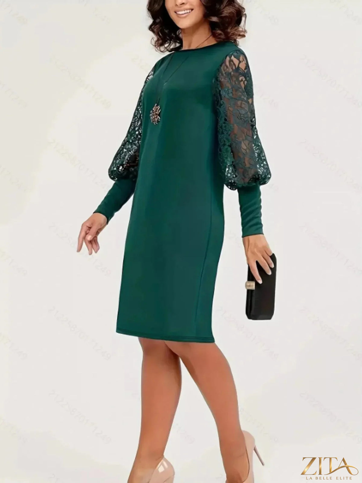 Lace lantern sleeve dress by Trendsi featuring intricate lace details and a flowing silhouette, perfect for elegant occasions.