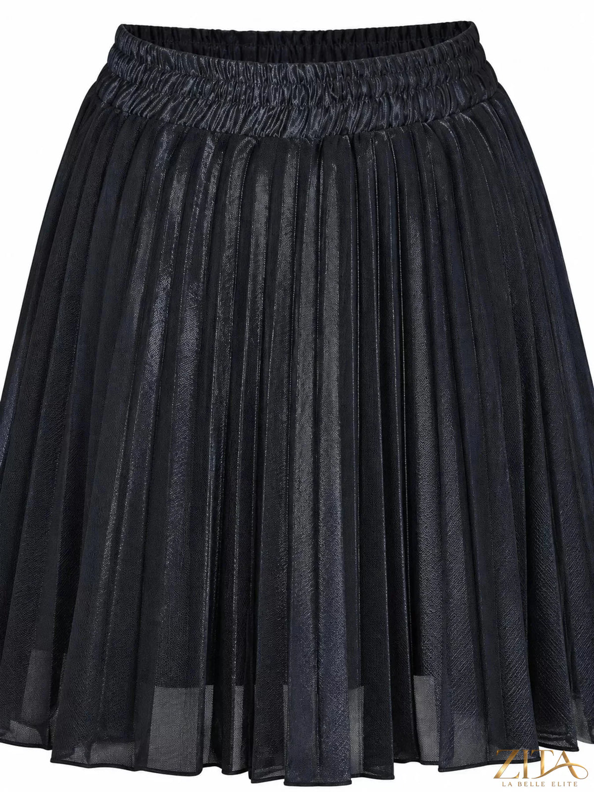 High-waisted pleated maxi skirt by Trendsi, flowing design with vertical pleats, in a lightweight fabric, front view.