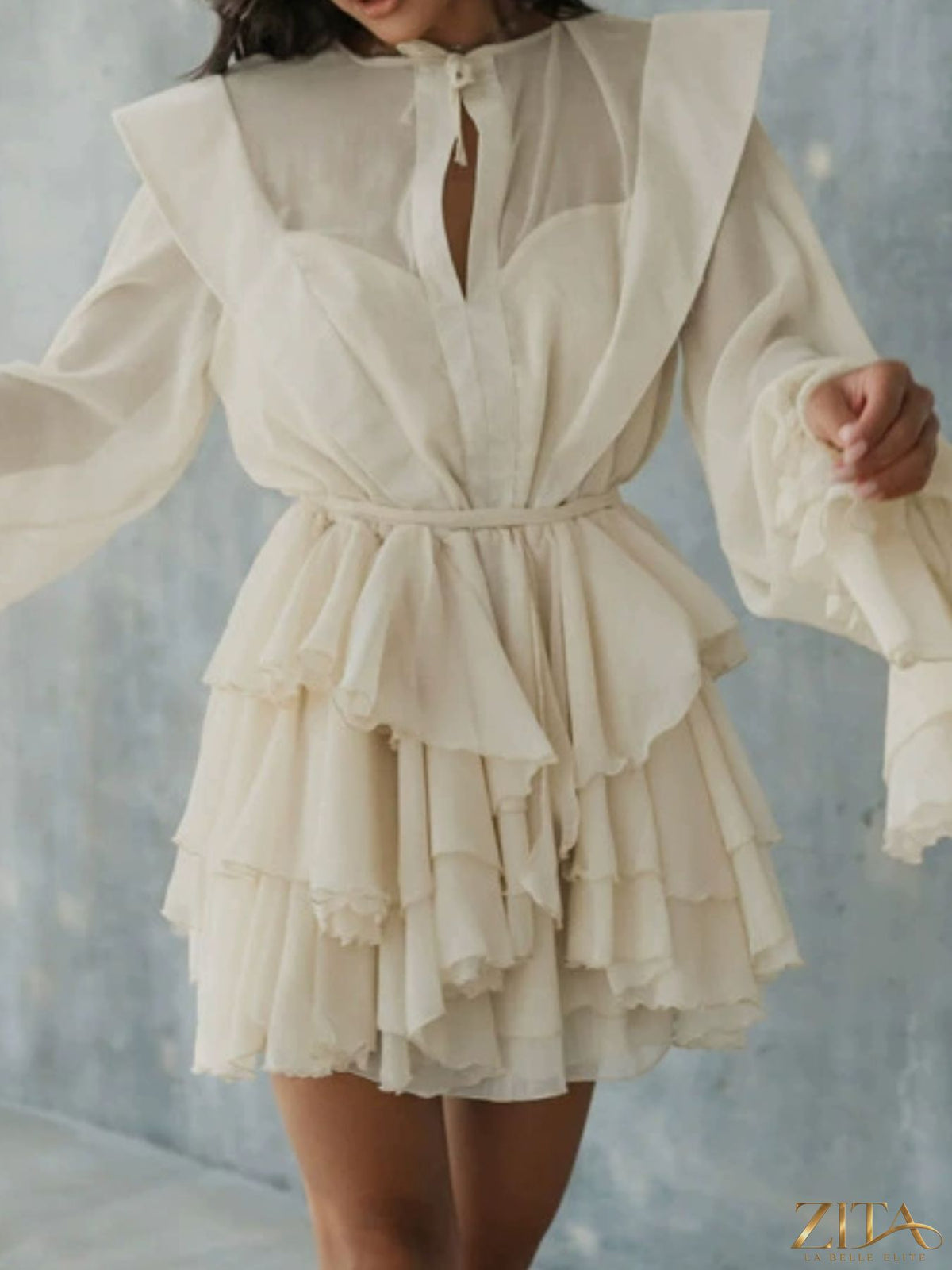 Ruffled long sleeve mini dress by Trendsi featuring a fitted silhouette and delicate ruffle details on the sleeves.