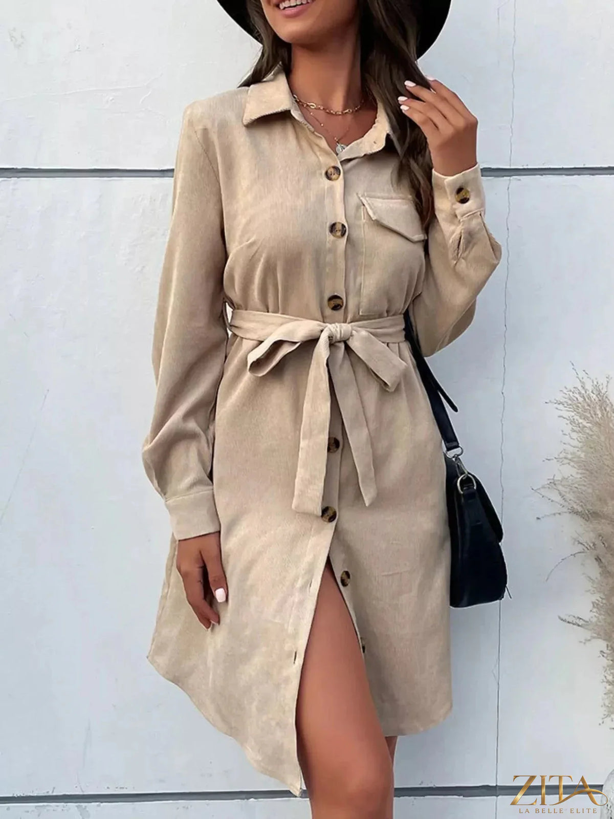 Button-front tie waist shirt dress by Trendsi featuring a classic collar, long sleeves, and a flattering waist tie.