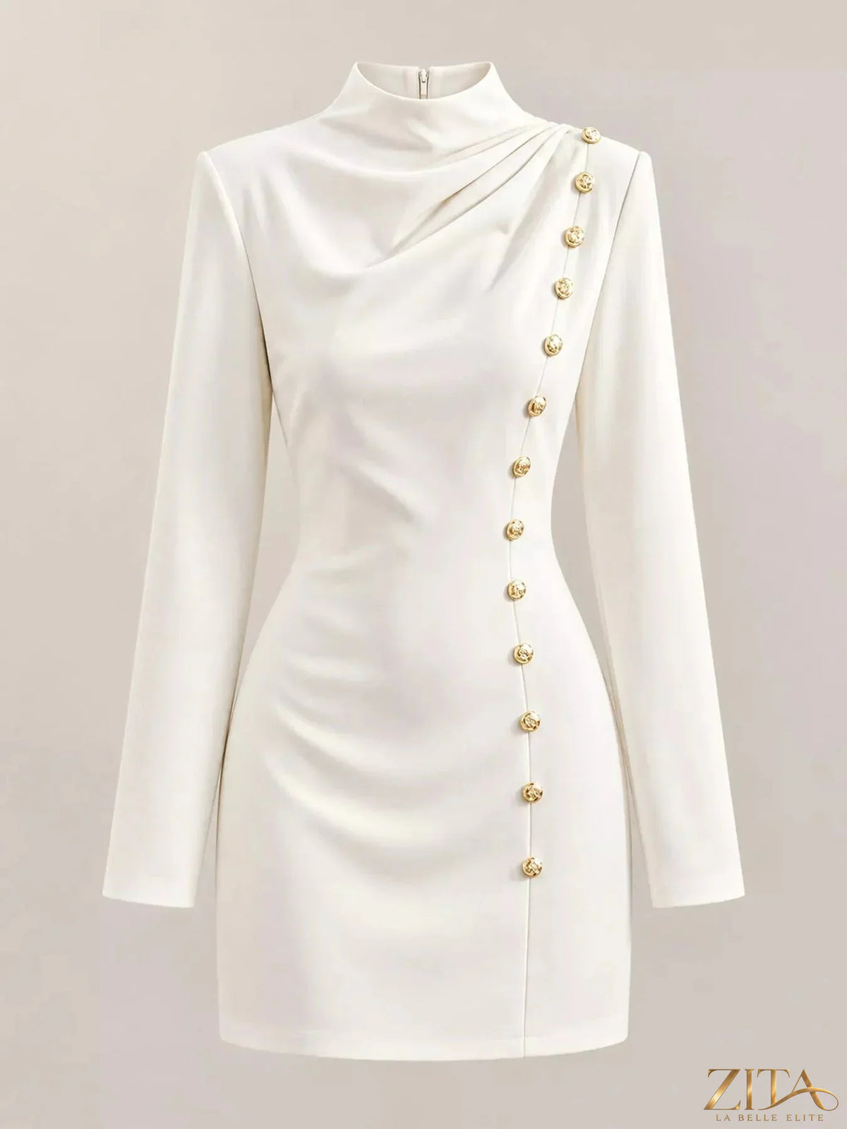 Plus size Zita La Belle Elite decorative button mock neck mini dress, front view showing the stylish design and fit.