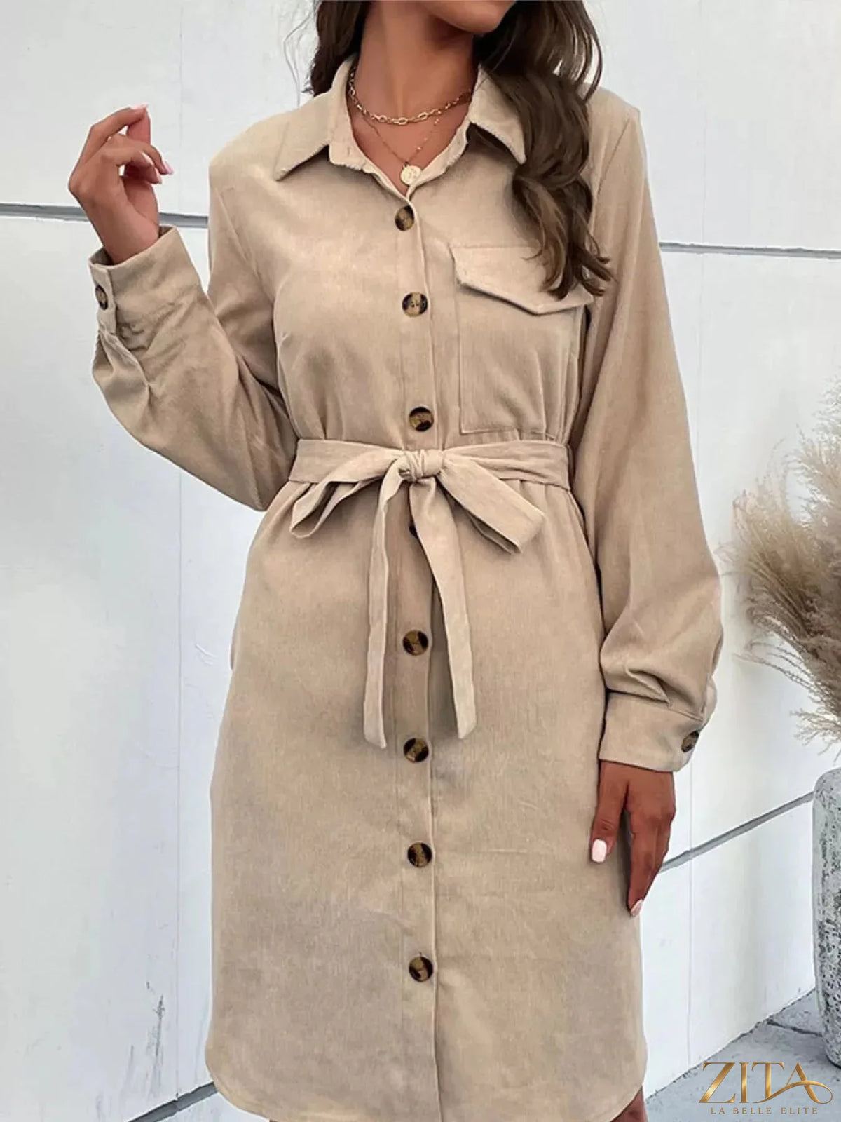 Button-front tie waist shirt dress by Trendsi, featuring a classic collar, long sleeves, and a stylish belted waist.