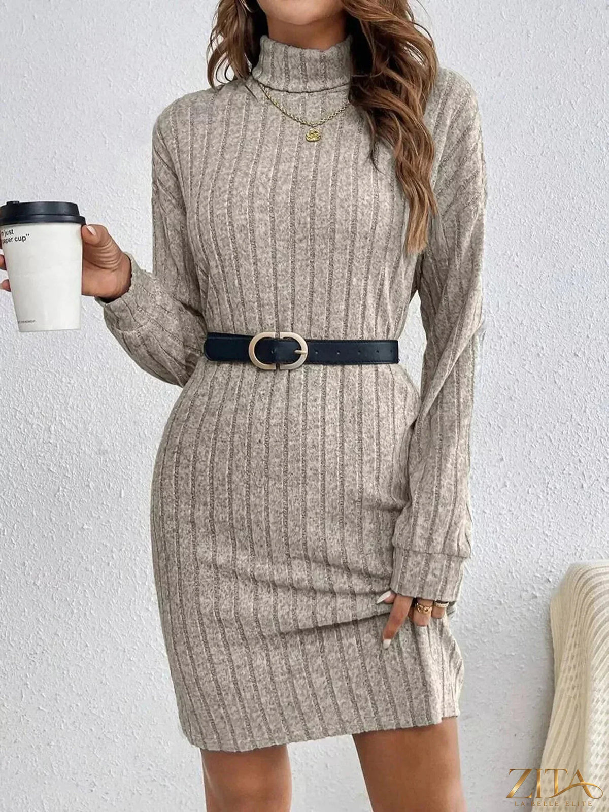 Zita La Belle Elite ribbed knit turtleneck dress showcasing a fitted silhouette and cozy fabric, ideal for stylish winter wear.