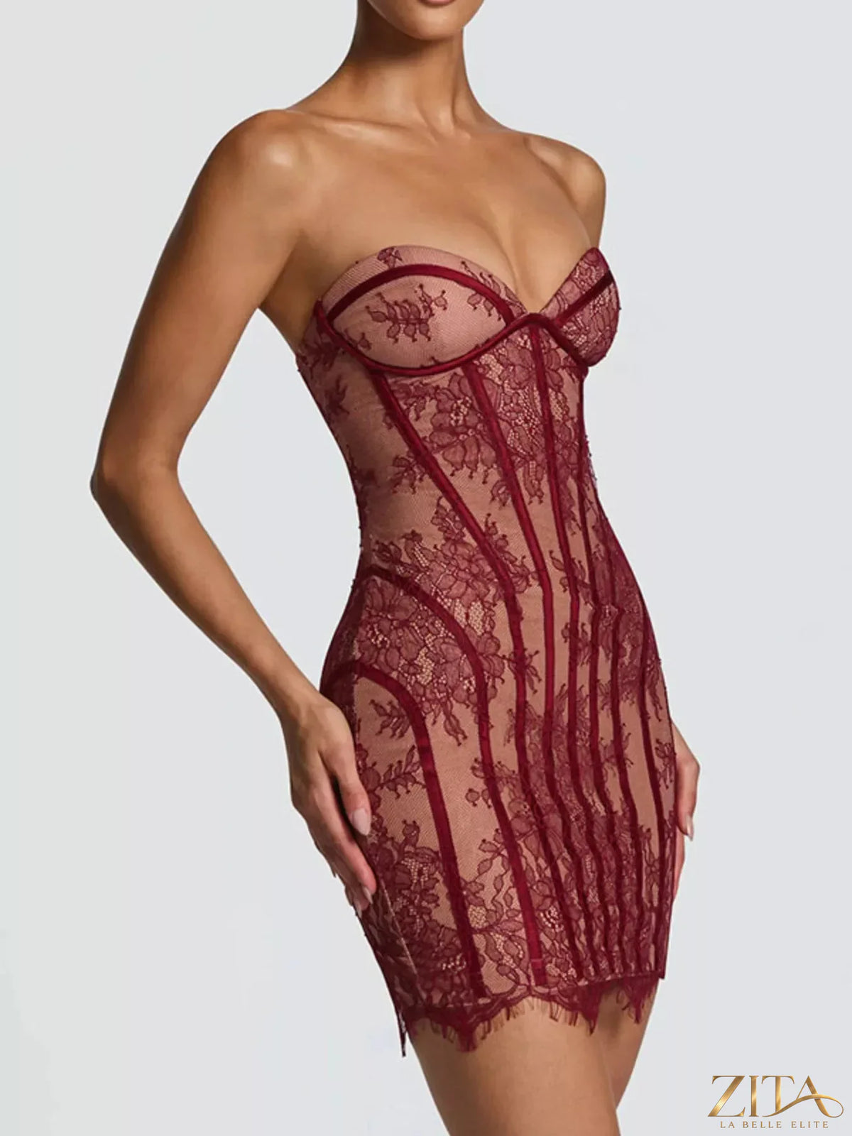 Lace detail tube mini dress by Trendsi featuring a fitted silhouette and intricate lace accents, perfect for stylish occasions.
