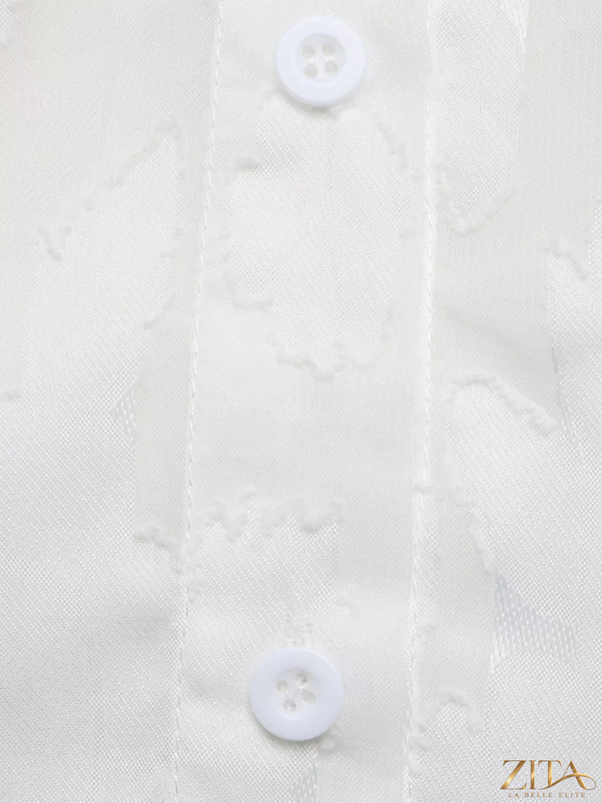 Zita La Belle Elite sheer button-down shirt displayed on a model, featuring lightweight, transparent fabric and classic collar design.