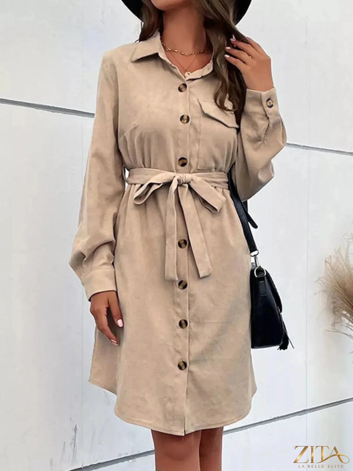 Button-front tie waist shirt dress by Trendsi featuring a classic collar, long sleeves, and a flattering waist tie.
