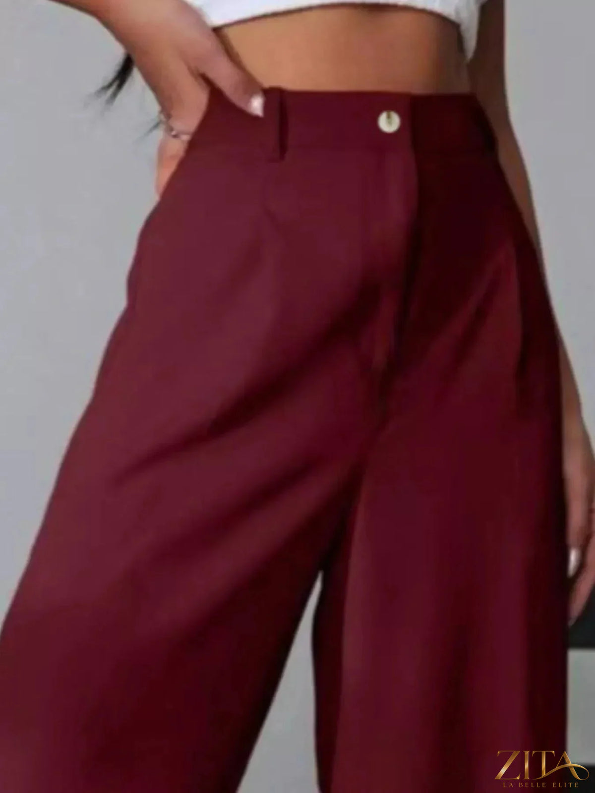 Zita La Belle Elite wide leg pleated pants in neutral fabric, showcasing their relaxed fit and stylish design.
